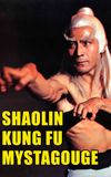 Shaolin Kung-Fu Mystagogue