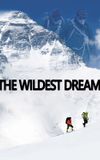 The Wildest Dream