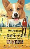 A Dog Named Wang Zi