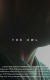 The Owl