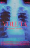 Voluta