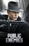 Public Enemies