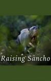 Raising Sancho