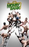 WWE Money in the Bank 2013