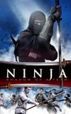 Ninja: Shadow of a Tear