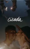 Cicada