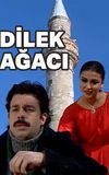 Dilek Ağacı