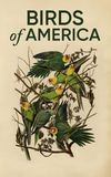 Birds of America