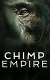 Chimp Empire