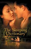 The Sleeping Dictionary