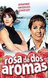 Rosa de dos aromas