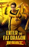 Enter the Fat Dragon