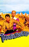 Tumbleweed