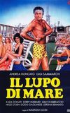 Il lupo di mare