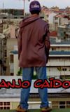 Anjo Caído