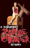 A Chinese Torture Chamber Story