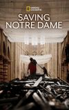 Saving Notre Dame