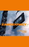 Zawodowcy