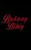 Bukang Bibig