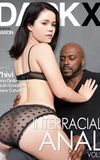 Interracial Anal 2