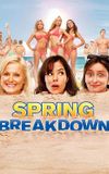 Spring Breakdown