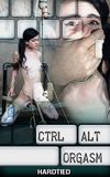 Ctrl-Alt-Orgasm