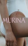 Murina