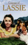 Courage of Lassie