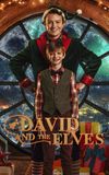 David and the Elves