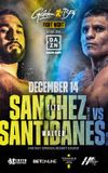 Jose Sanchez vs. Walter Santibanes