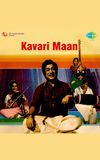 Kavari Maan