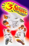 3 Ninjas Knuckle Up