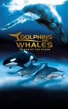 IMAX Dolphins and Whales: Tribes of the Ocean