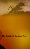 The Smell of Burning Ants