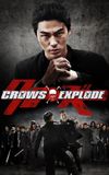 Crows Explode