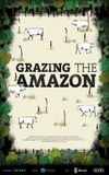 Grazing the Amazon