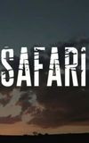 Safari