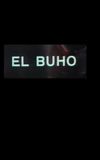 El búho