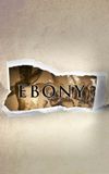 Ebony: The Last Years Of The Atlantic Slave Trade