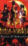 Ninja Vixens: Flame of Seduction