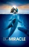 Big Miracle