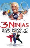 3 Ninjas: High Noon at Mega Mountain