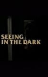 Seeing in the Dark