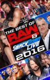 WWE Best of Raw & SmackDown Live 2016