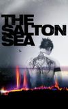 The Salton Sea