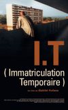 I.T. - Immatriculation temporaire