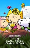 Snoopy Presents: It's the Small Things, Charlie Brown