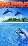 Dolphins