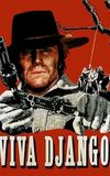 Viva! Django