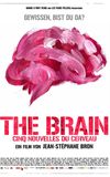 The Brain